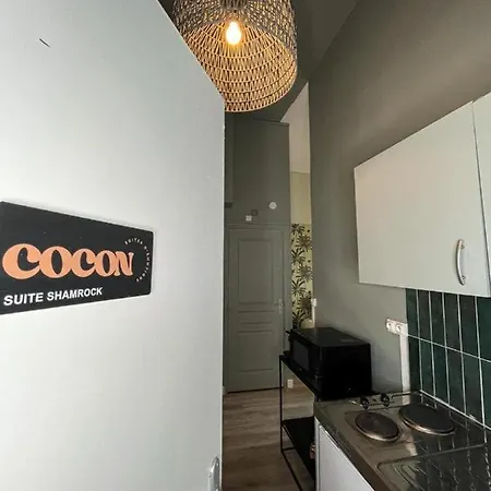 Appartement Shamrock - Check In H24 - Wifi *
